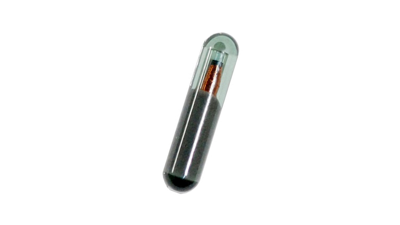 Immo KeyDiy ID48
